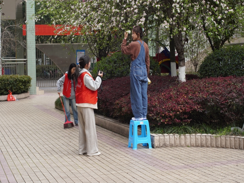 UyEL_1711104228882027376.jpg LLY05518.jpg