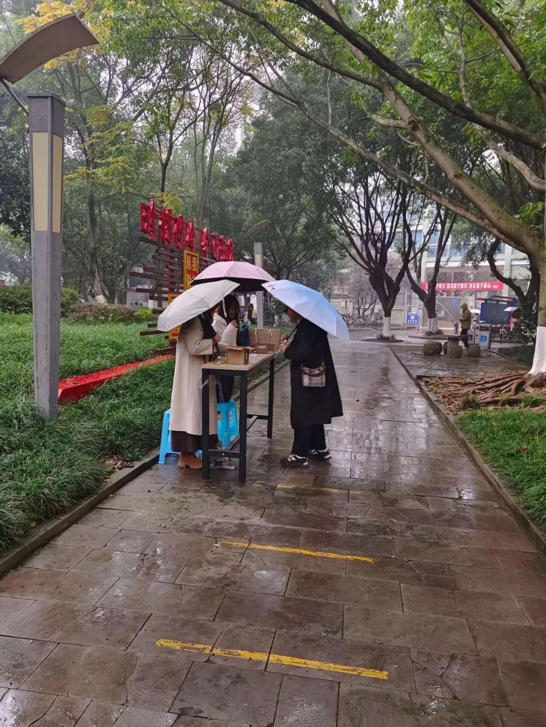 pIWZ_1735824313637097396.jpg 640.jpg