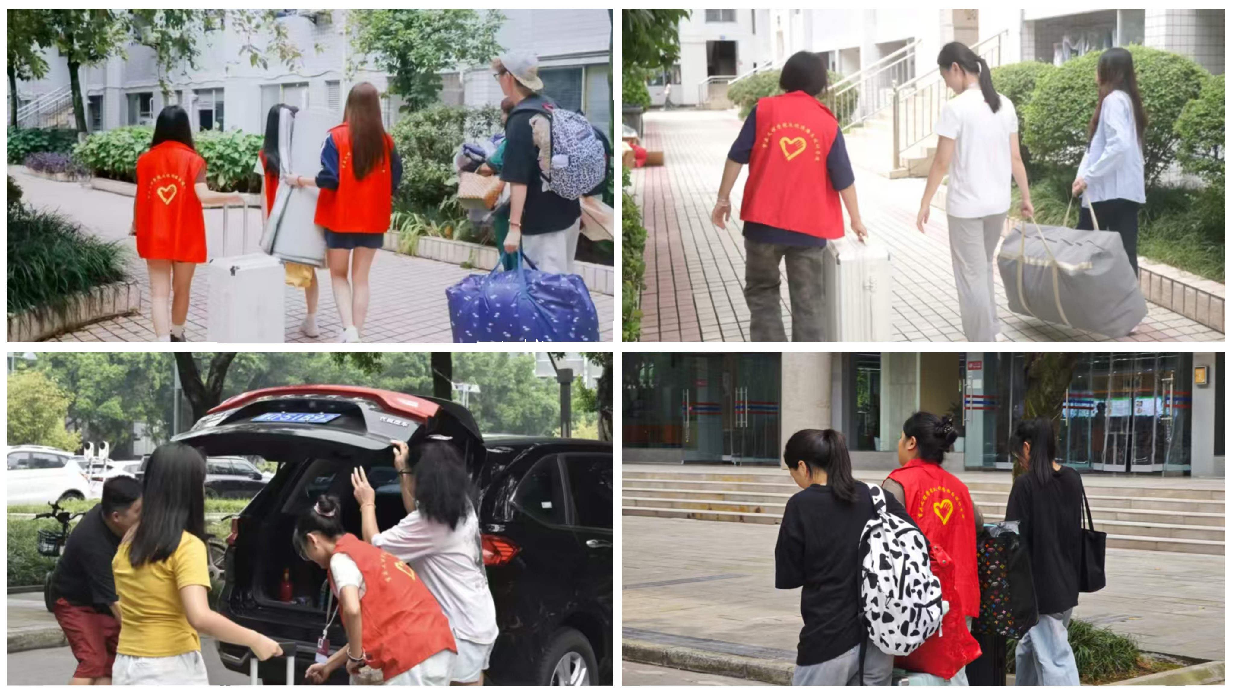 icov_1757928832021012720.jpg 2.jpg